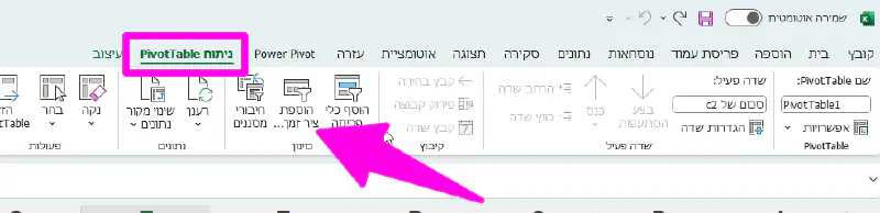 איך לעצב סלייסר ציר זמן של EXCEL PIVOT TABLE