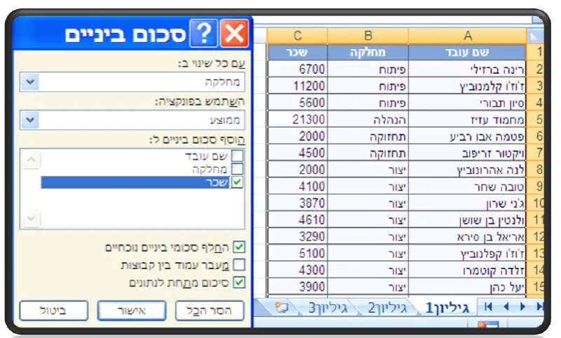 סיכום ביניים אקסל - דוגמא נוספת