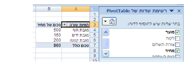 אקסל פיבוט 5