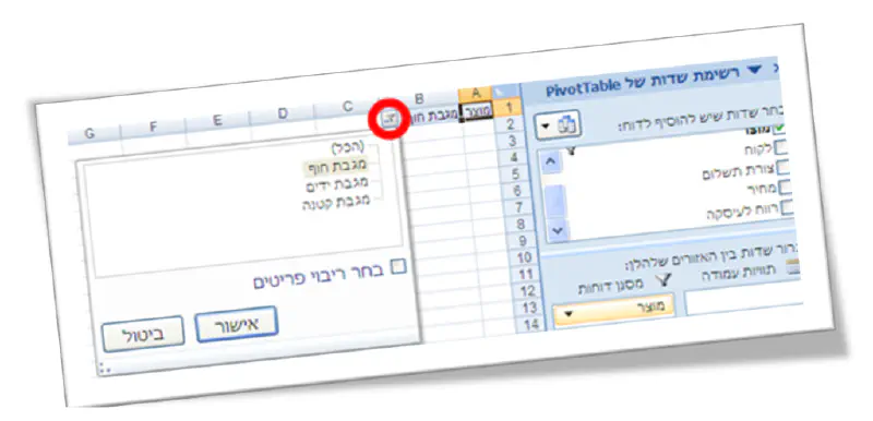 אקסל פיבוט 8