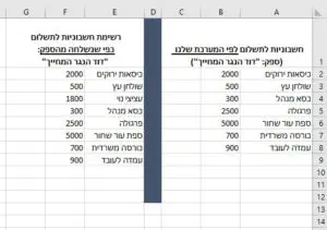 שתי רשימות אקסל, עם שינויים קטנים בין הרשימות